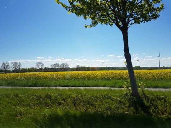 Golf Club Ostseebad Groemitz